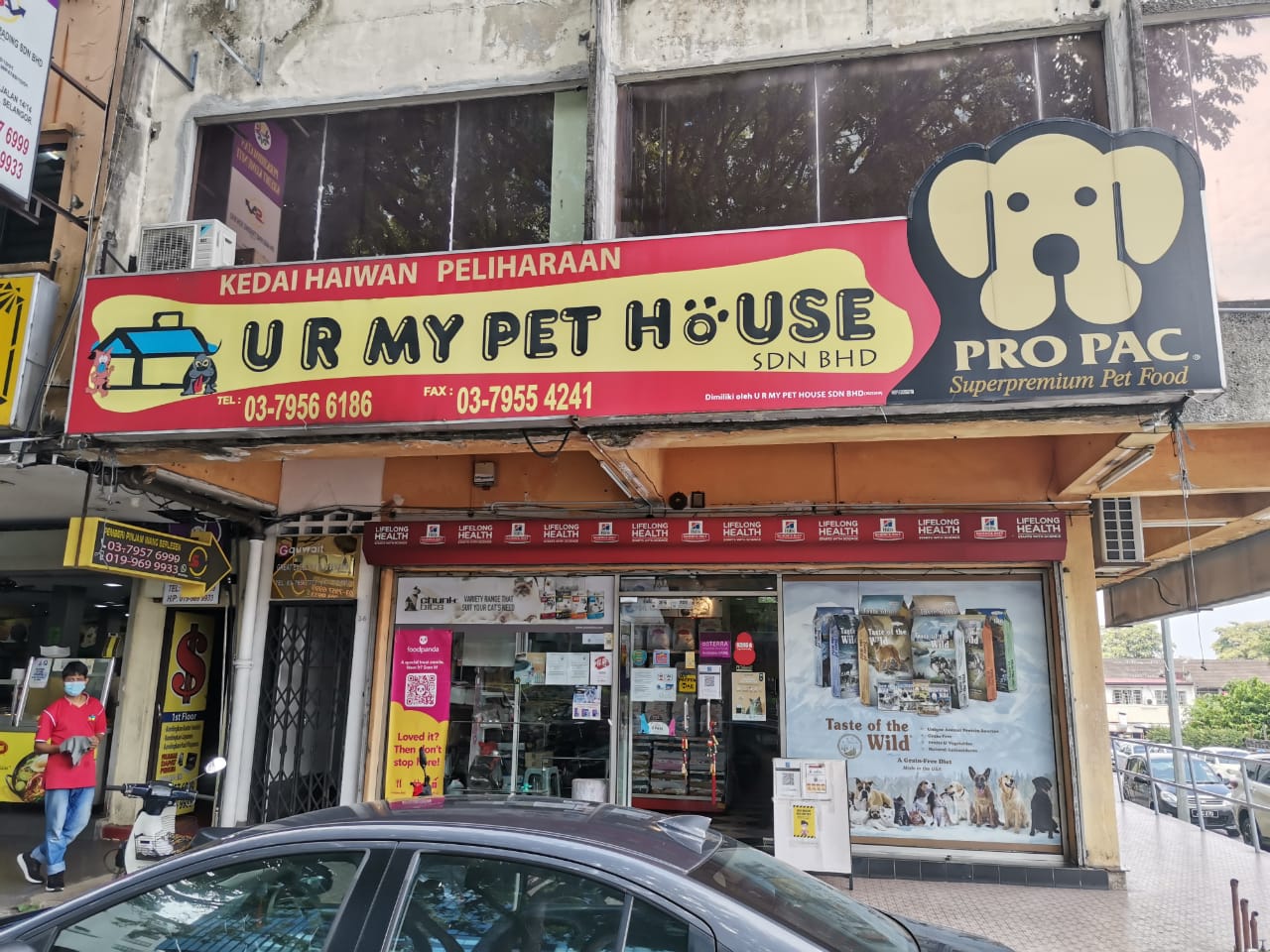 Lurv Fat Paws - PJCC PETSHOP Cat Supermarket 2
